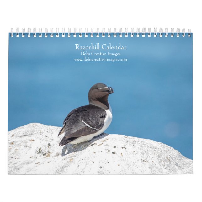 RazorBill Calendar 2026 Kalender (Omslag)