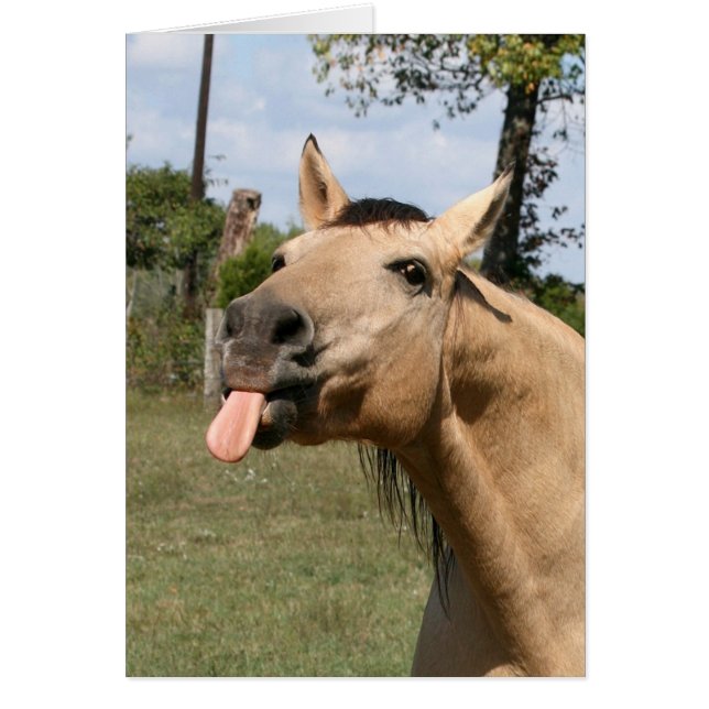 razzberry hälsningskort (Framsidan)