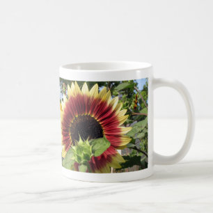 Razzmatazzsolros Kaffemugg