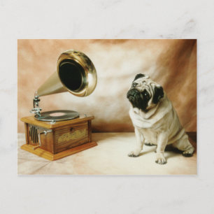 RCA Pug Hund Vykort