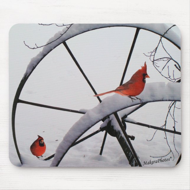 rdbds-olwhlsplc-z musmatta (Framsidan)