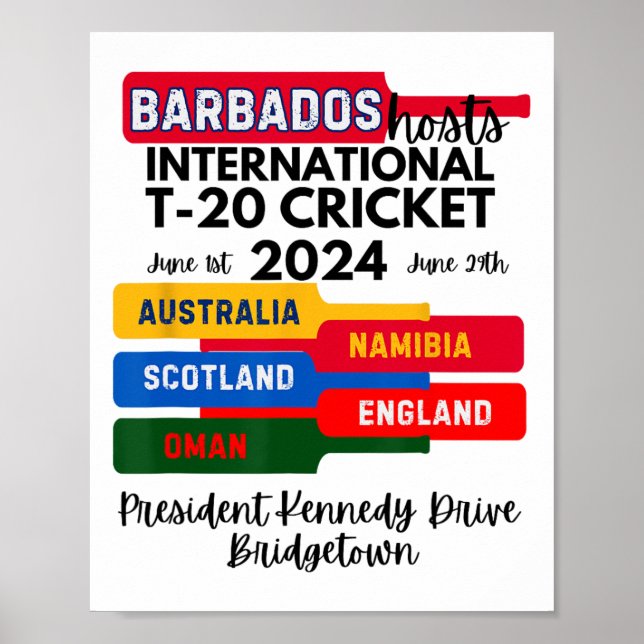 Rdos T-20 International Cricket  Poster (Framsidan)