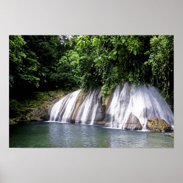 Reach Falls, Port Antonio, Jamaica Poster (Framsidan)