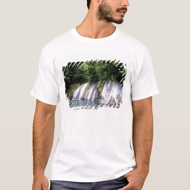 Reach Falls, Port Antonio, Jamaica T Shirt (Framsida)