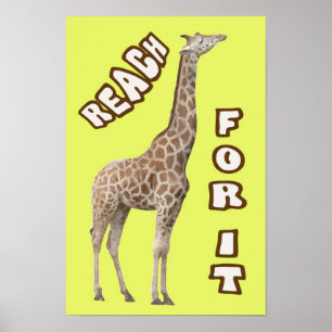 Reach för den poster