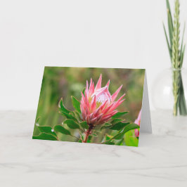 Reach för himlar kort