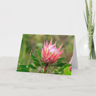 Reach för himlar kort