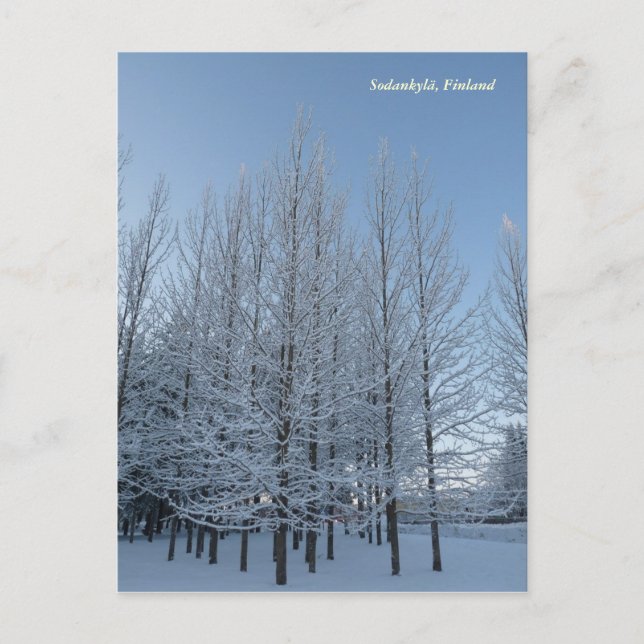 Reach för Himlar Vykort (Framsida)