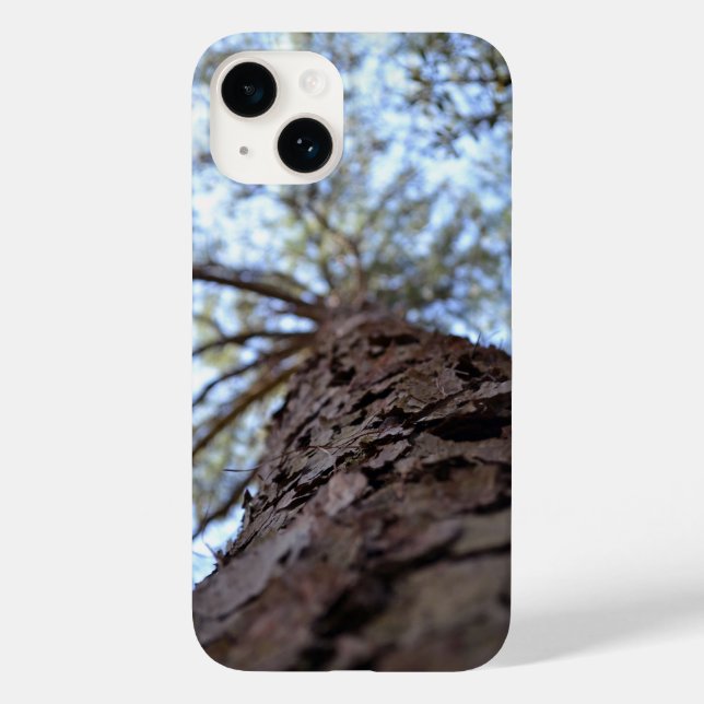 Reach High av Shirley Taylor (Baksida)