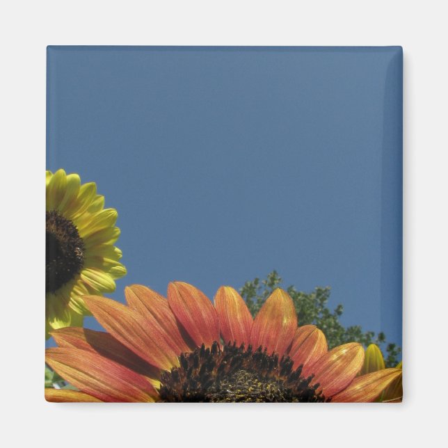 Reach till himlar! magnet (Framsidan)