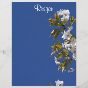 Reagan Blommar Letterhead
