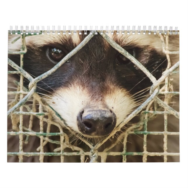 reaktion på kalender (Omslag)