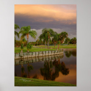 Reaktionen i Florida handflatan träd sjö Poster re