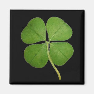 Real 4 Löv Klöver Shamrock Black Magnet