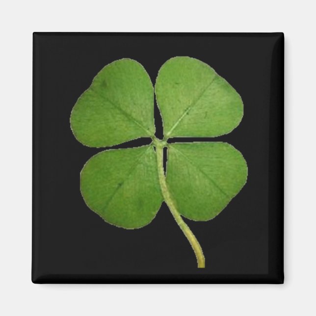 Real 4 Löv Klöver Shamrock Black Magnet (Framsidan)