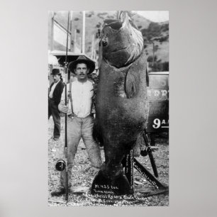 Real Big Fish, tidigt 1900-talet Poster