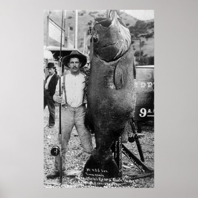 Real Big Fish, tidigt 1900-talet Poster (Framsidan)