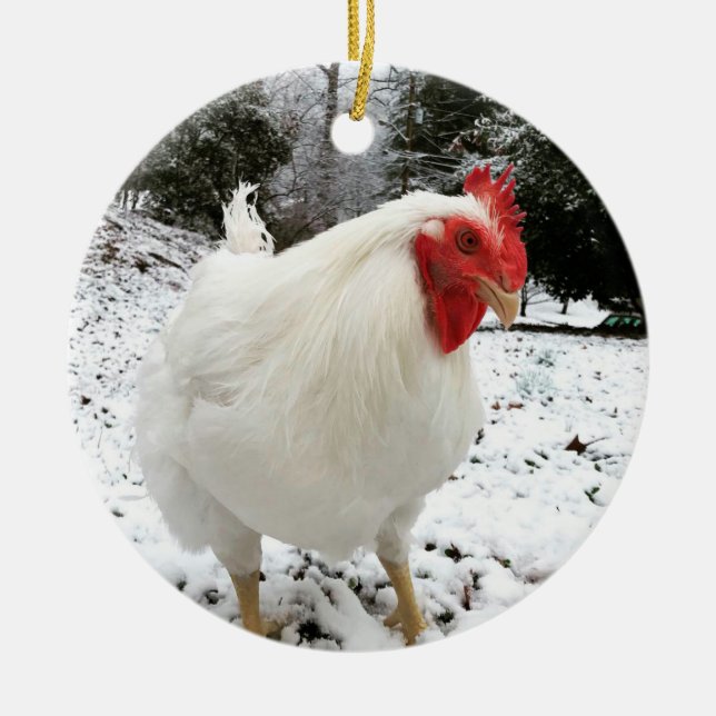 Real Boo den roliga julprydnaden Julgransprydnad Keramik (Framsidan)