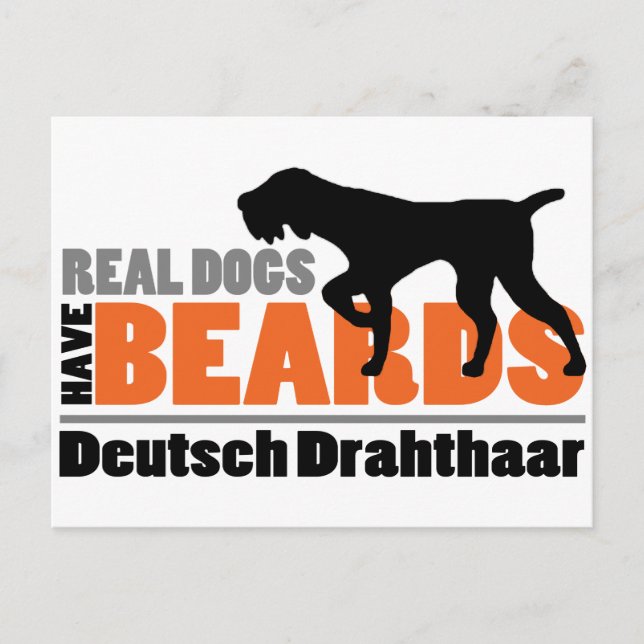 Real Hundar har Beards - Deutsch Drahthaar Vykort (Framsida)