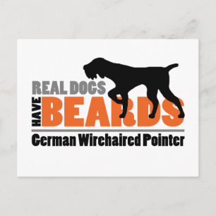 Real Hundar har Beards - tysk Wirehsted Pointer Vykort