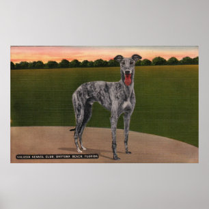 REAL HUNTSMAN Berömd Greyhound Hund Poster