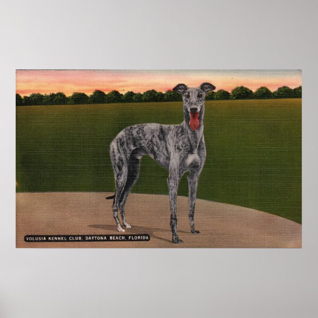 REAL HUNTSMAN Berömd Greyhound Hund Poster (Framsidan)