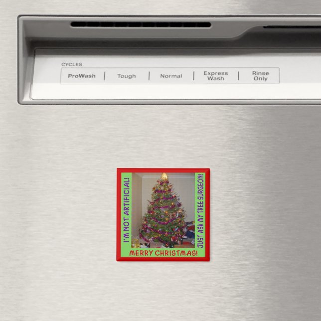 Real Julgran Magnet (In Situ (Dishwasher))