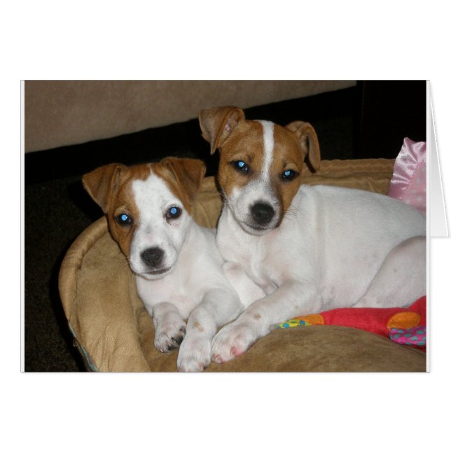 Real Kärlek OBS Kort (Framsidan Horizontal)