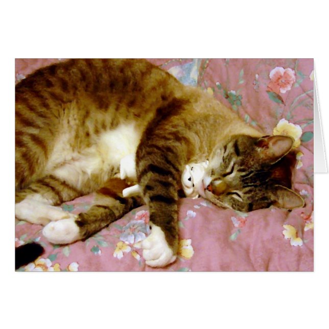 Real Kat, fummelkatt Hälsningskort (Framsidan Horizontal)