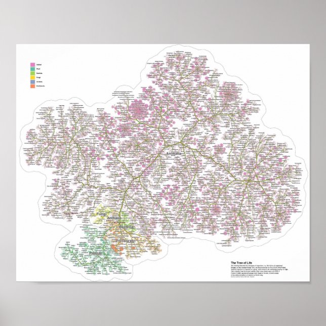 Real Livets träd Poster (Framsidan)