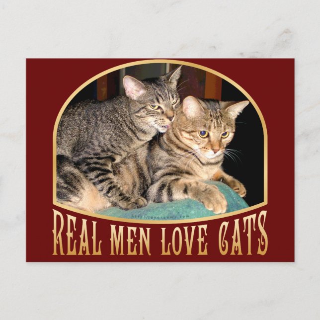 Real Manar Kärlek Cats Vykort (Framsida)