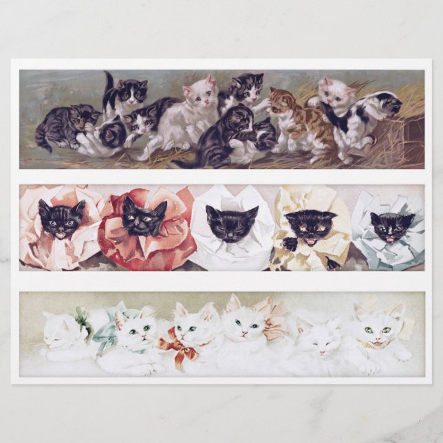 Real (not AI) Long Victorian Era Cat Illustrations (Framsida)