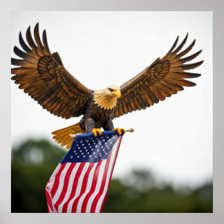REAL ÖRN FLYGNING MED AMERIKANSK FLAGGA POSTER
