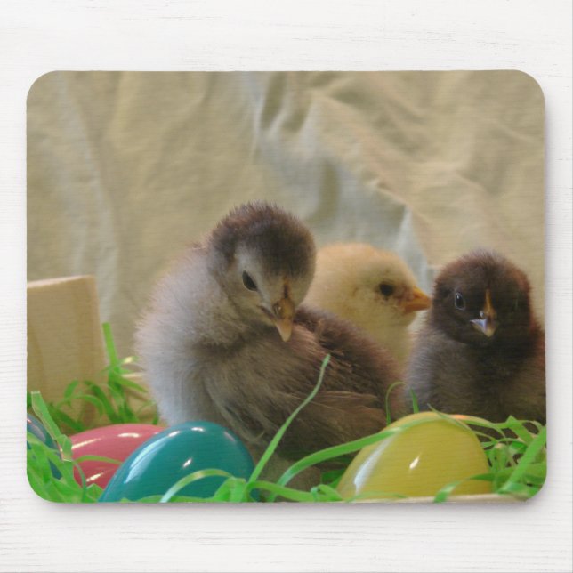 Real Påsk Chicks Musmatta (Framsidan)