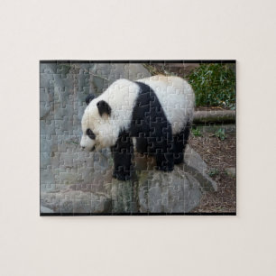 Real Photo Panda Bear Jigszle Puzzle Pussel
