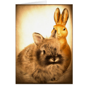 Real Rabbit och Fake Rabbit Hälsningskort