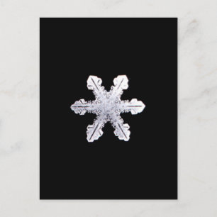 Real Snowflake Bild Vykort