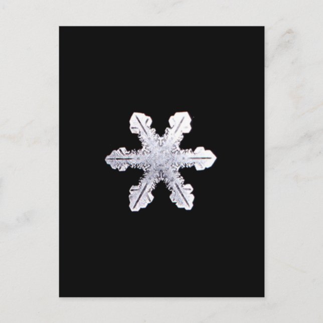Real Snowflake Bild Vykort (Framsida)