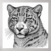 Realistic Leopard Print Skin/Fur Coloring Template