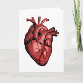 Realistisk anatomiskt hjärtbild kort