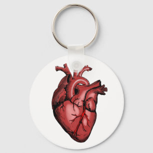 Realistisk anatomiskt hjärtbild nyckelring