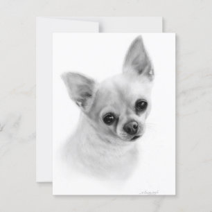 Realistisk Chihuahua Porträtt - Oljemålning Vykort