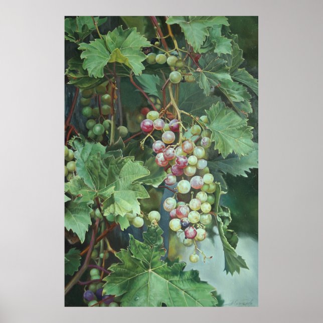 Realistisk druvvin med blad - Finkonst Poster (Framsidan)