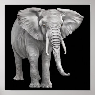 realistisk Elephant-bakgrund Poster