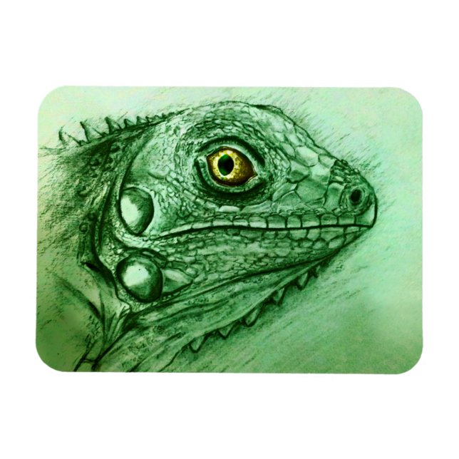 Realistisk Grönt - reptilbild - foto Magnet - Igua (Horisontell)