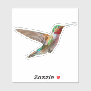 Realistisk Hummingbird Klistermärken
