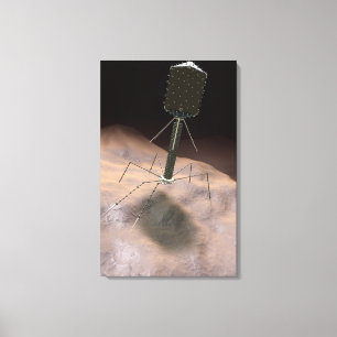 Realistisk illustration av bacteriophagen canvastryck