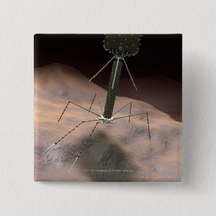Realistisk illustration av bacteriophagen knapp