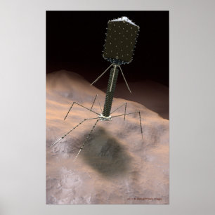 Realistisk illustration av bacteriophagen poster