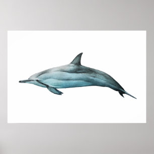 Realistisk illustration av Spinnerdelfin Print Poster